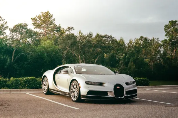 카지노 웰 돈 슬롯츠 안드로이드/iOS 앱